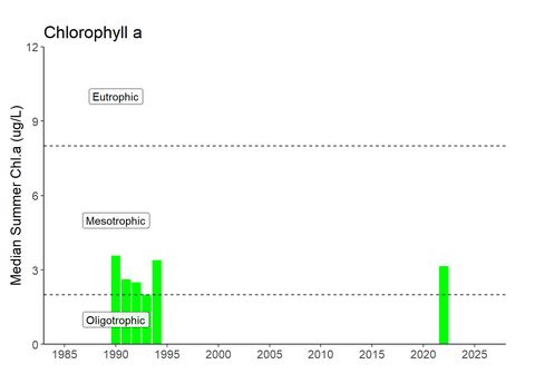 Long Term Cloraphyll