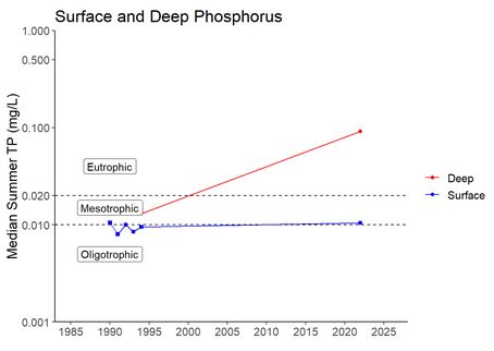 Long Term Surface