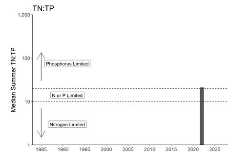 Long Term TNTP